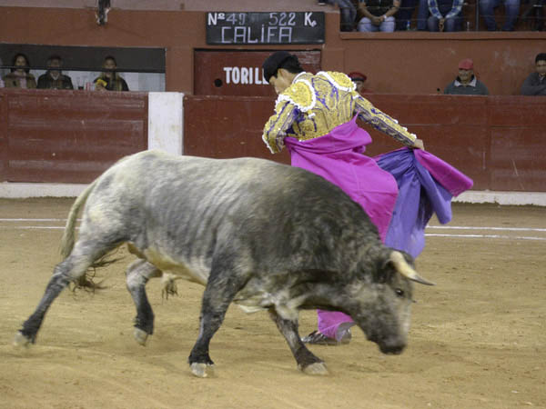 Chicuelinas al c�rdeno