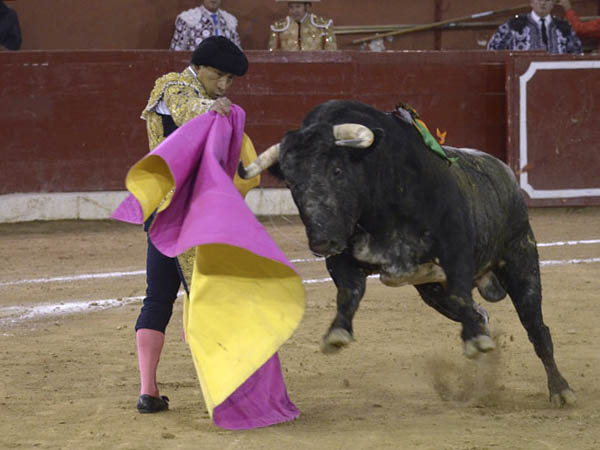 Atemperando la embestida