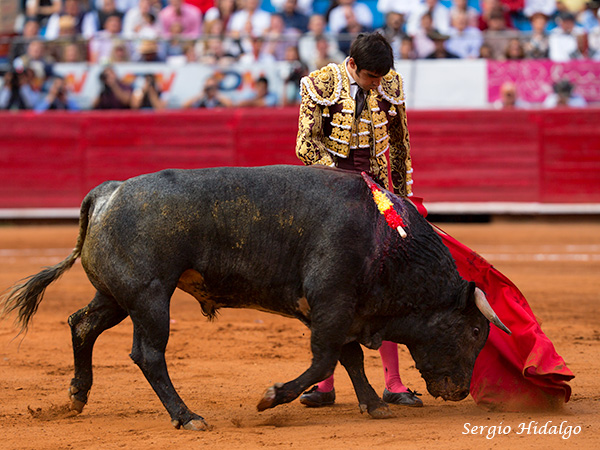 Dejando caer la muleta