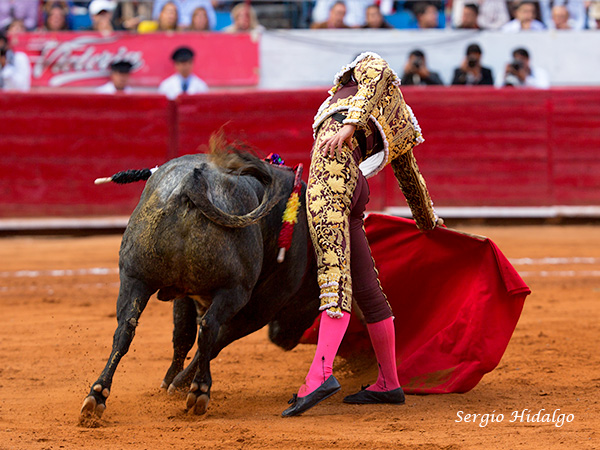 En los terrenos del toro