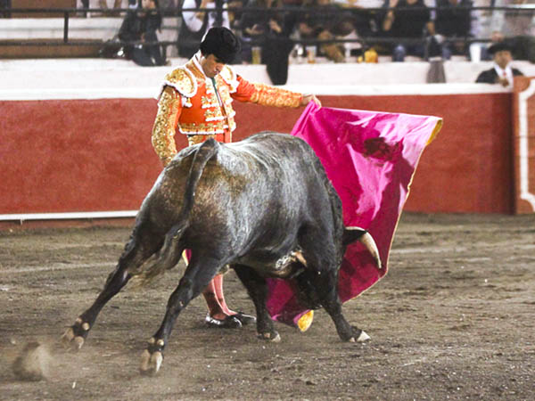 Jaleado en el capote