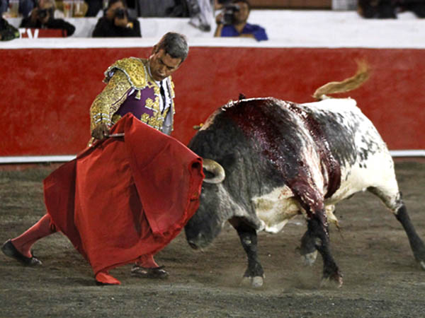 Primeros pases al golondrino