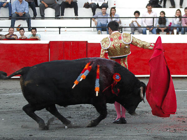 Emoci�n en el inicio