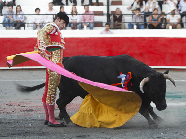 Inm�vil en la revolera