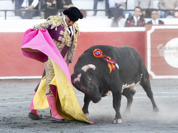 Ver�nicas del festejado