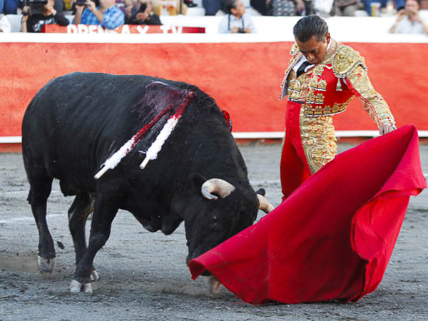 Tirando del ejemplar