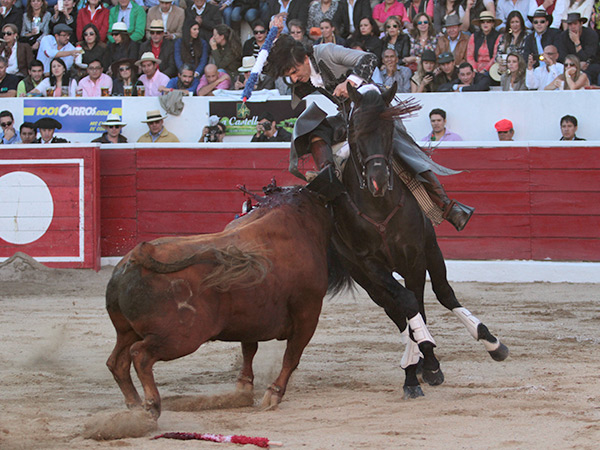 Atrac�ndose del toro