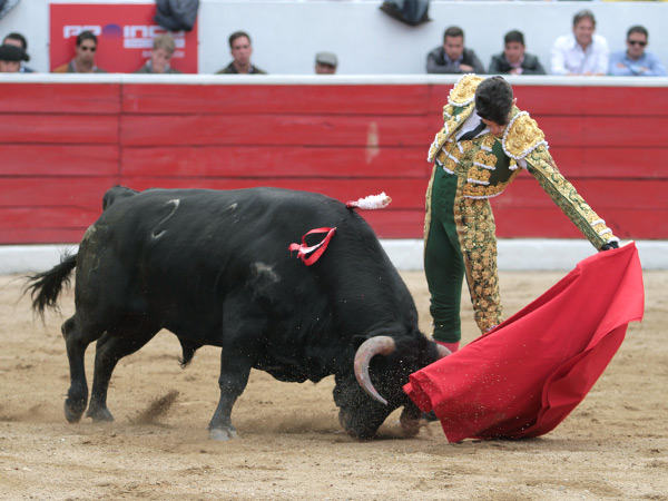 Un natural amanoletado