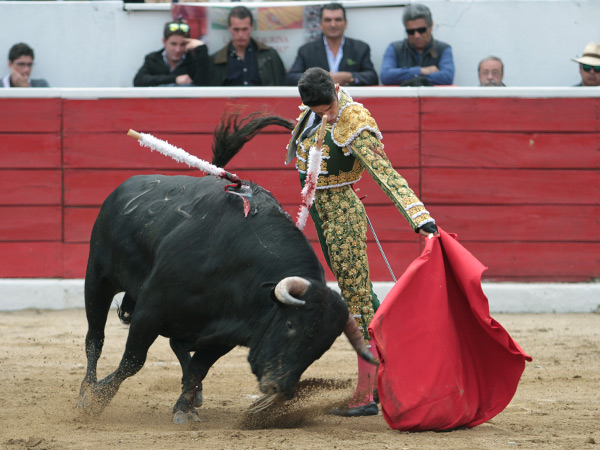 Gust�ndose, en el inicio