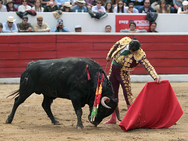 Natural en los medios