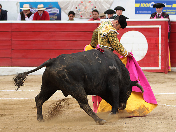 Inveros�mil cordobina