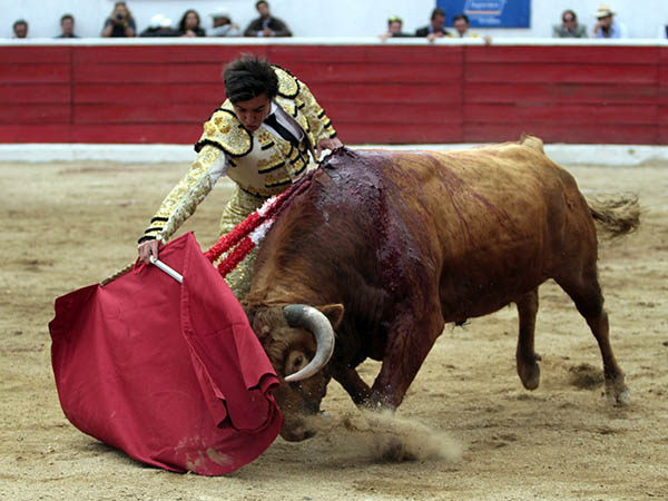 La bravura de los Rumiquincha