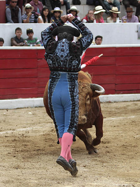 En la cara del ejemplar