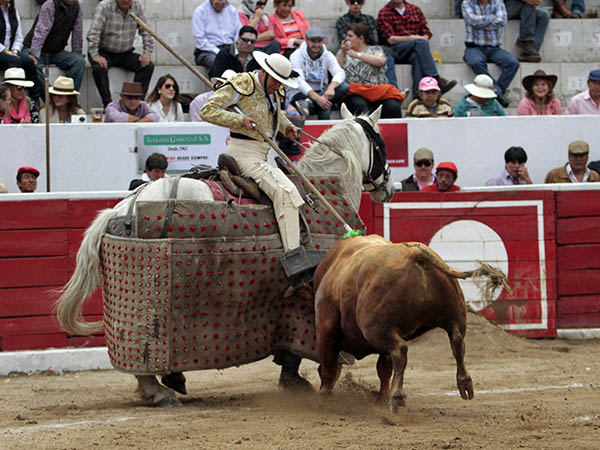 Metiendo los ri�ones