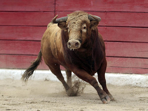 Salta a la arena el cuarto