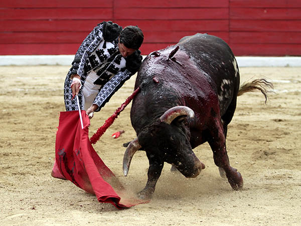 Filigranas en la franela