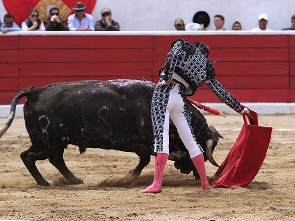 Entregado a la muleta