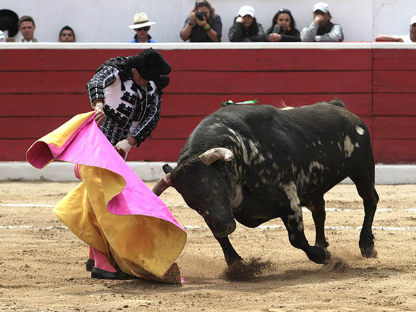 Tore� con gusto de capote