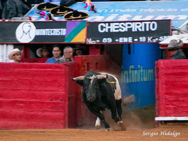 En honor al amigo ca�do