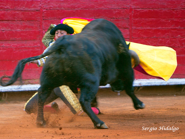 Con el �mpetu de un novillero