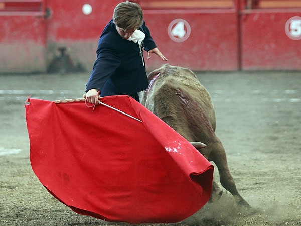 Buen novillo de Paco Cordero