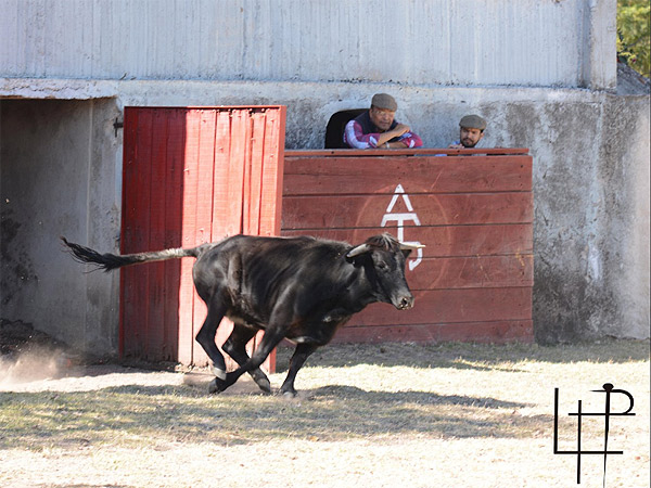 La primera de la jornada