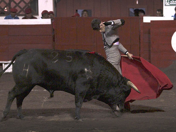 Con estructura y ritmo