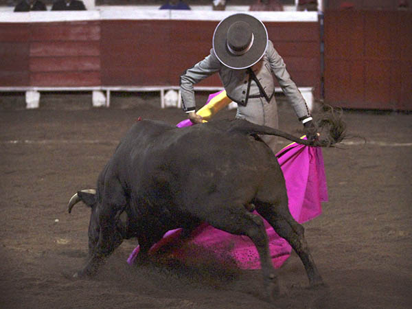 Talavante, por chicuelinas