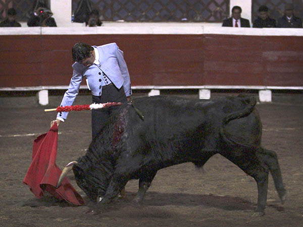 B�sicamente, por el derecho