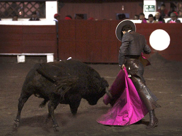 Y brot� la inspiraci�n...