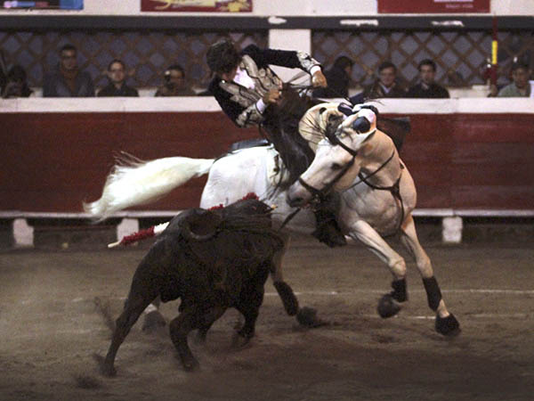 Se emple� el novillo de Rumiquincha