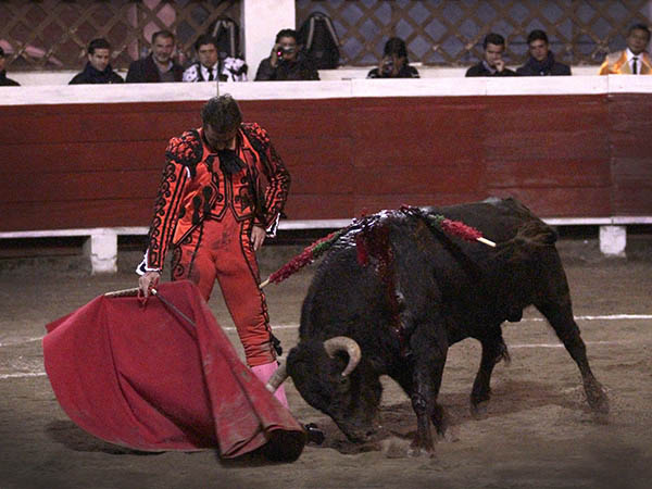 Con alegr�a y un gran tranco