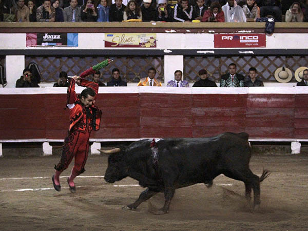 Vibrantes pares de banderillas