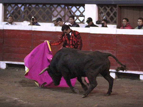 Fandi, con un toro de nota alta