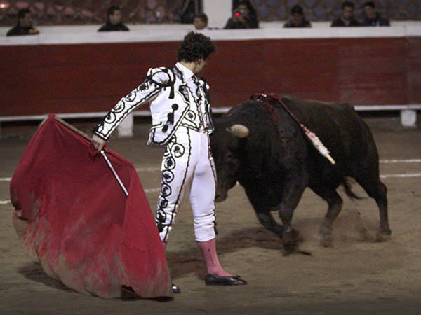 Nobleza y emoci�n que trascienden