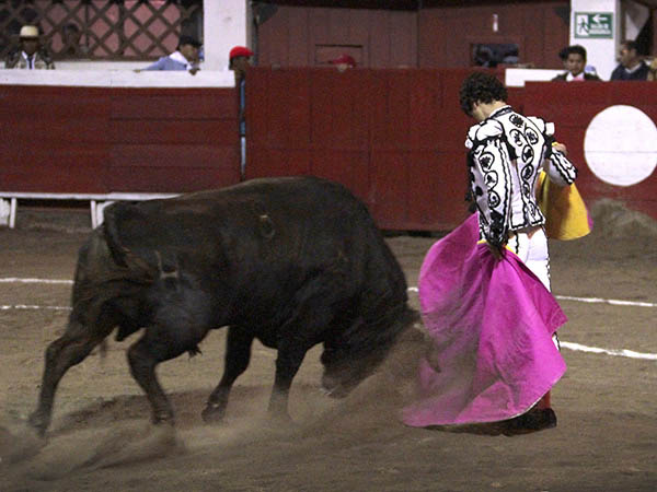 Goza del cari�o de la afici�n