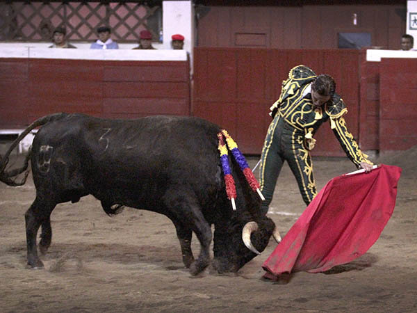 Avanzando en la profesi�n