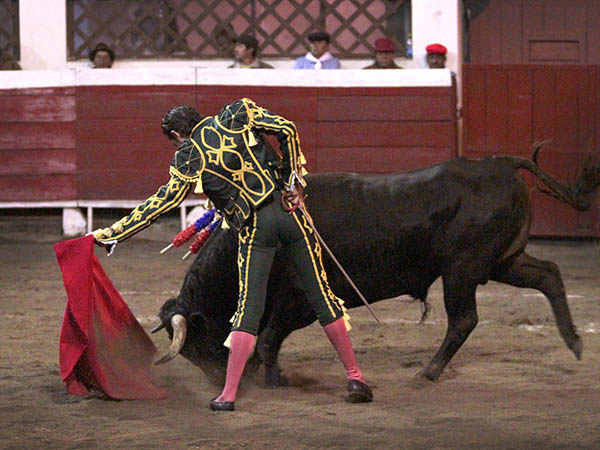 Haciendo el toreo cl�sico
