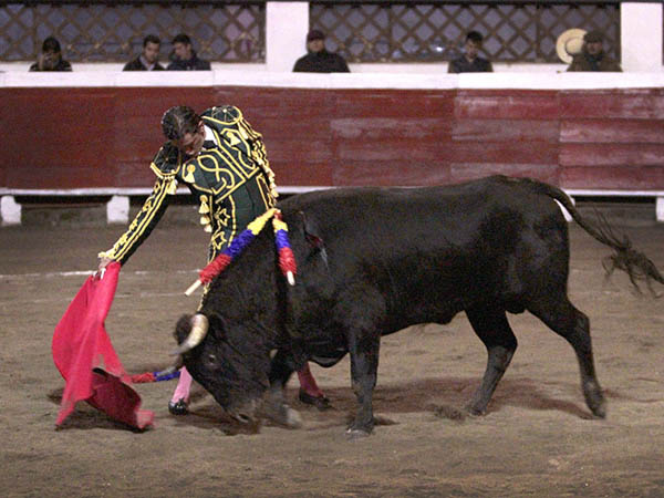 Asentamiento y buen gusto