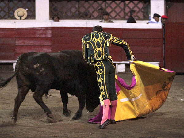 Hinojosa con el capote