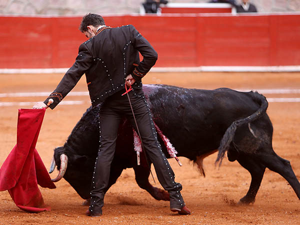 Trazos con pincel... despacio