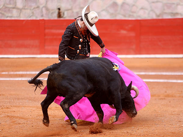 Tarde de inspiraci�n