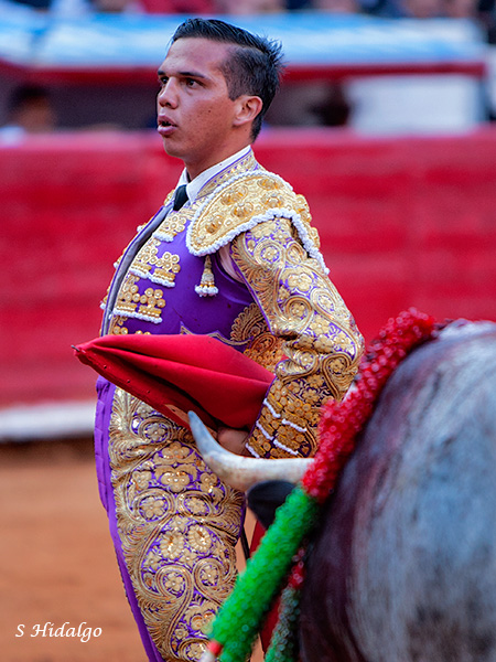 Desplante torero