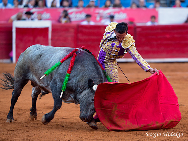 Metido en la muleta