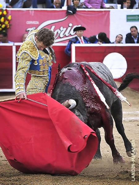 Barbilla en el pecho