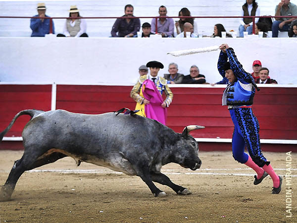 Un par de Rafa Romero