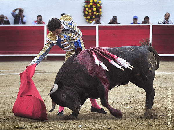 Con estructura y ritmo