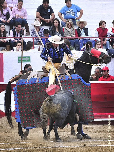 Nono Cobos en la suerte de varas