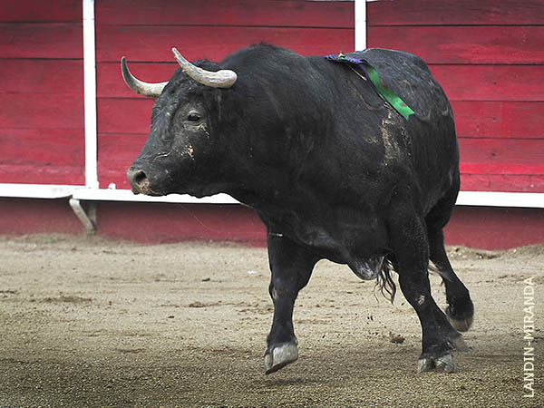 Se da�� las manos en la salida