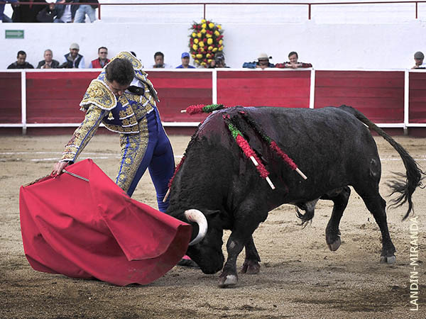 Acompasados muletazos